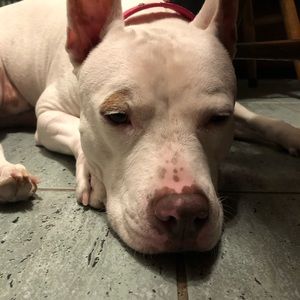 Meet your Posher, Jenny